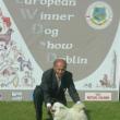 Bella Del Colle Degli Ulivi - Cac - Cacib - Campionessa Europea - Dublino 2009 