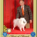 World Dog Show - Polonia