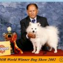 World Dog Show - Amsterdam